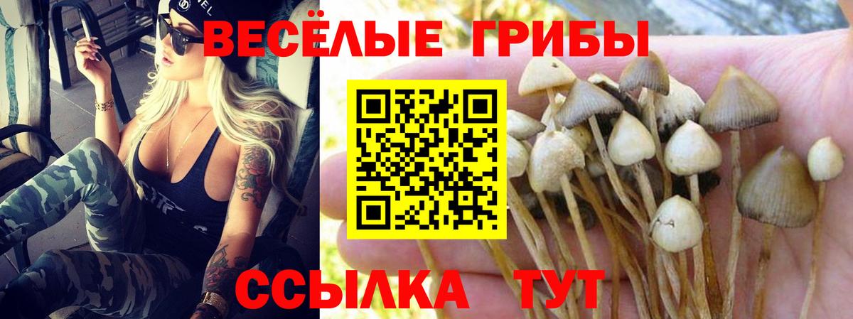 Псилоцибиновые грибы прущие грибы  Вход с VPN  как найти   Галлюциногенные грибы мицелий  Семилуки 